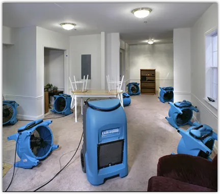 Basement Flood Cleanup in Fairview, CA