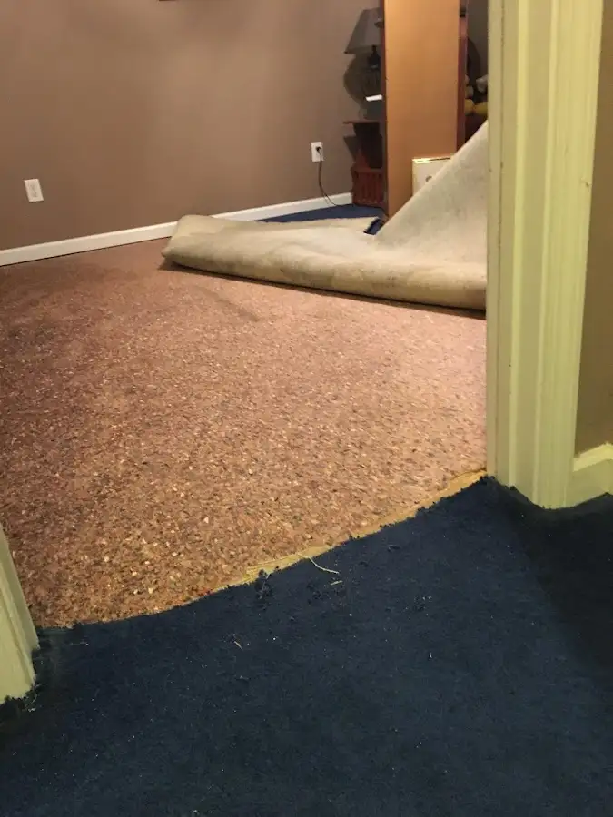 Carpet pad removal revealing water damage during Water Mitigation Services in Fairview